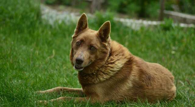 Гостиница Motel Oxygen Коктебель-75